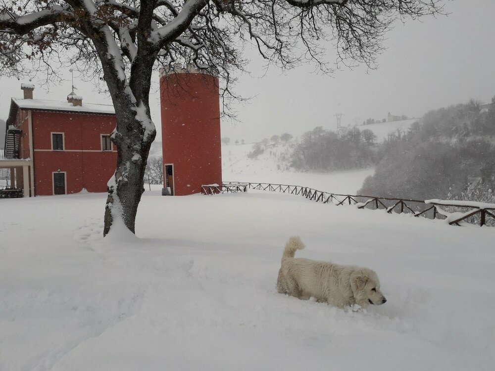Фото Agriturismo La Vita è Bella