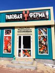 Раковая ферма (Truzhenikov Street, 32/1) ، محل بقالة