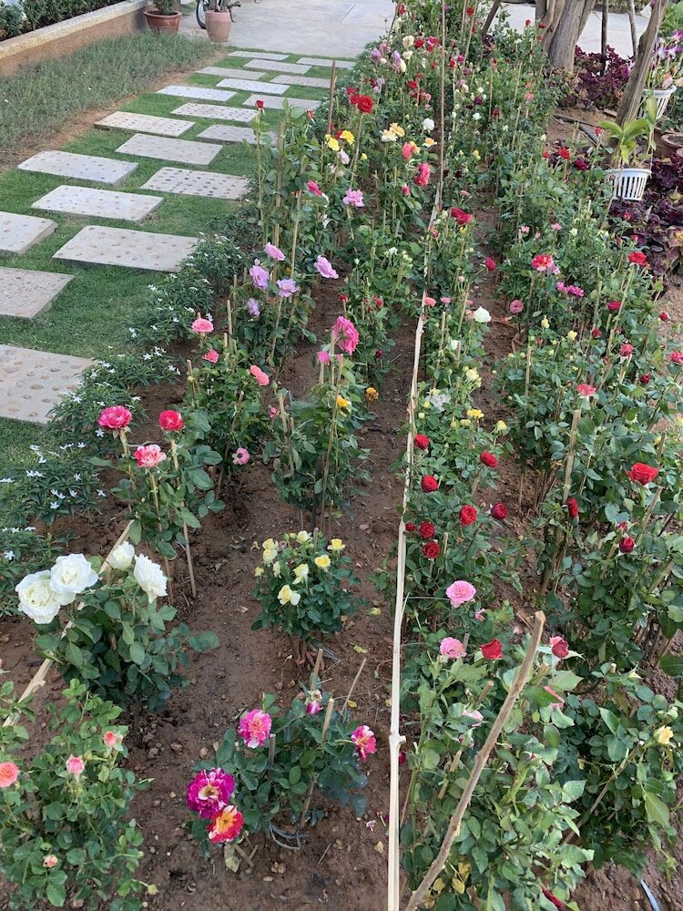 Фото Intanou Boutique Hotel Kampot