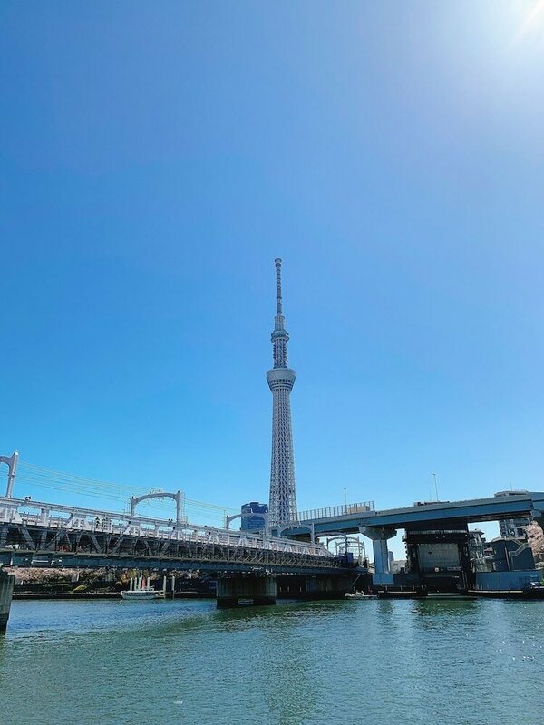 Гостиница Hotel Tavinos Asakusa в Токио