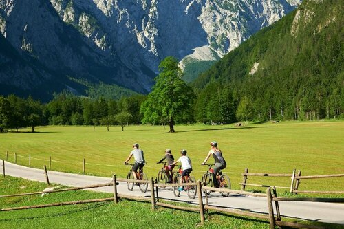 Гостиница Forest Camping Mozirje