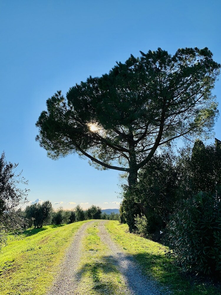 Фото Tenuta Agricola Fraschiera