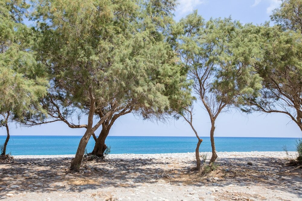 Фото Aadonis Villa