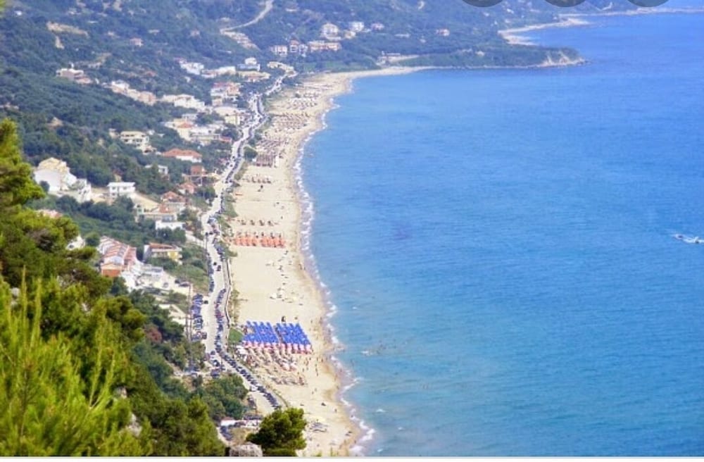 Фото Olive Tree Apartment