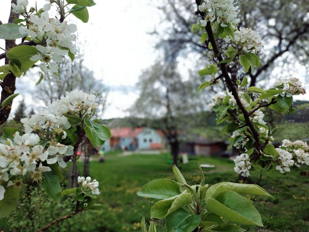 Фото U Svatého Petra