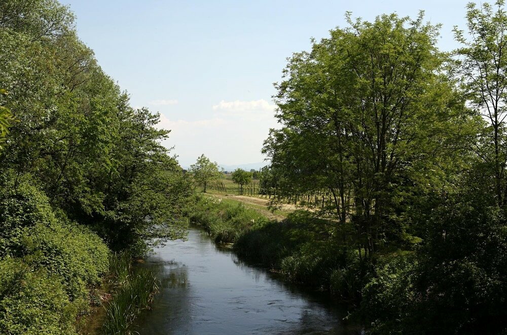 Фото Agriturismo La Rosta