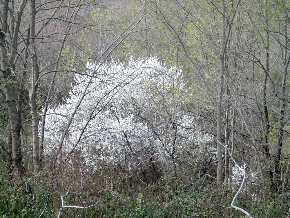 Фото Agriturismo le Cammarose