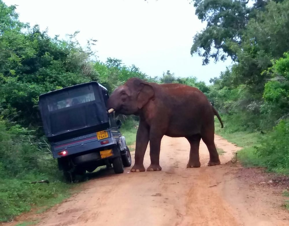 Фото Amawin Resort