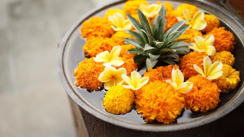 Фото Wiras Village