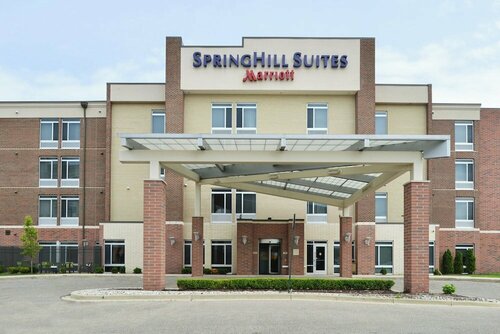Гостиница SpringHill Suites by Marriott Detroit Metro Airport Romulus