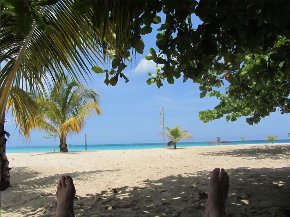 Фото The Yellow Bird