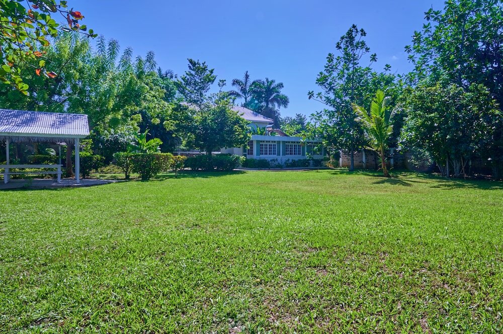 Фото The Yellow Bird