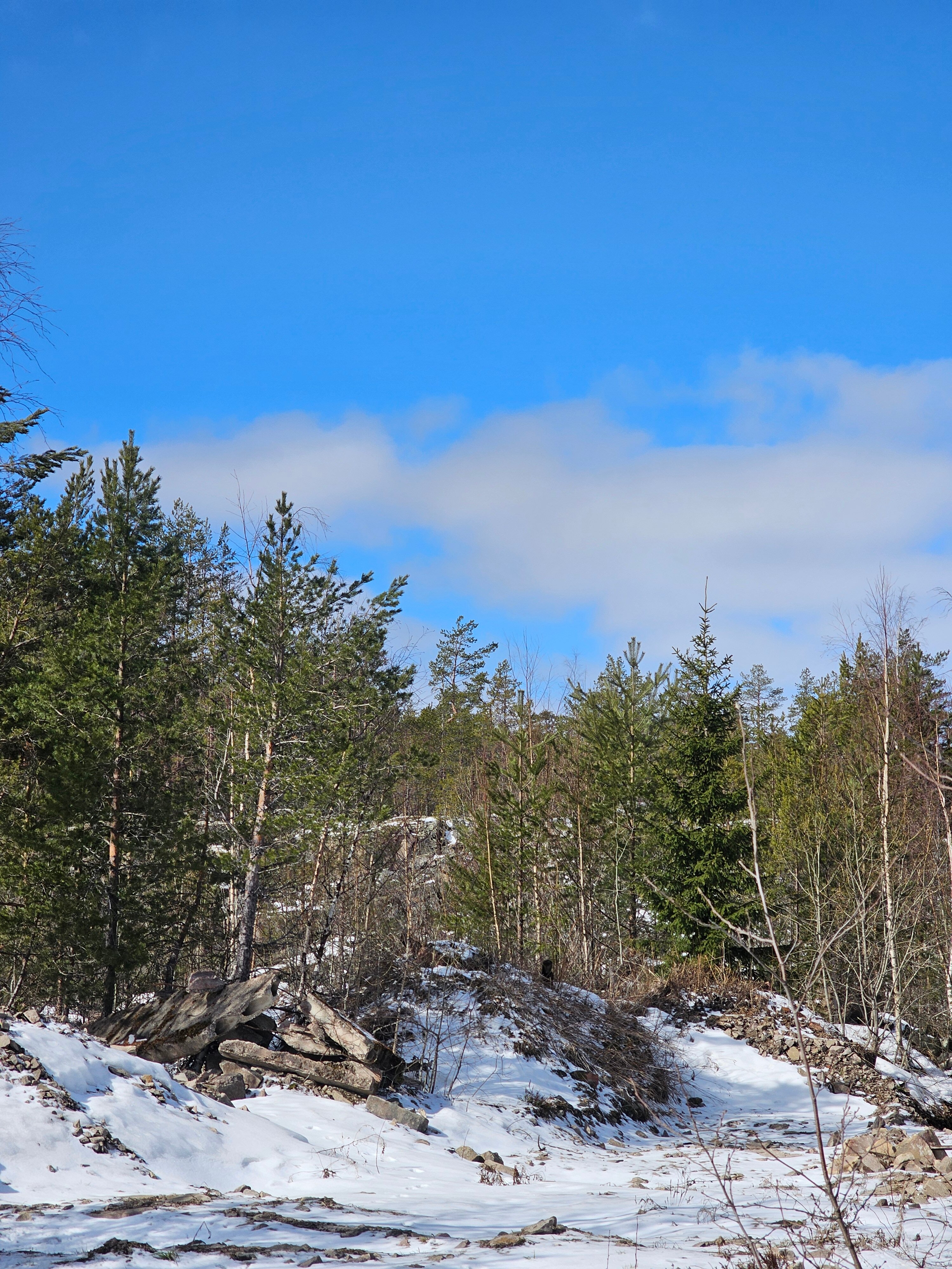 Фото Вепсская Горница