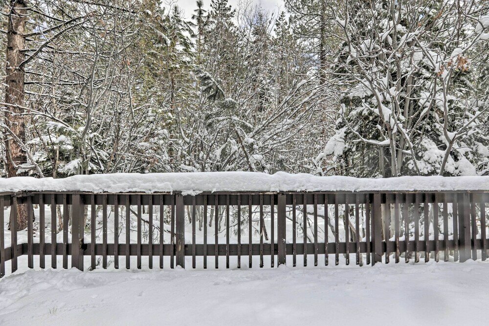 Фото Lazy Bear Cabin