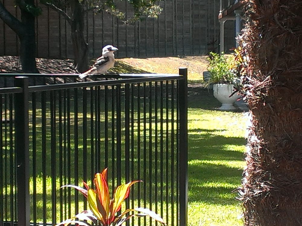 Фото Coomera Motor Inn