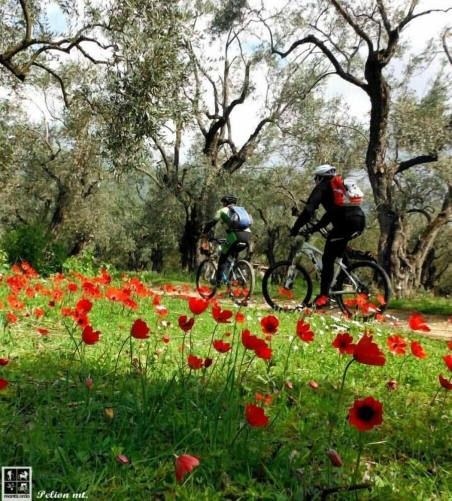 Фото Karavia Lux Inn