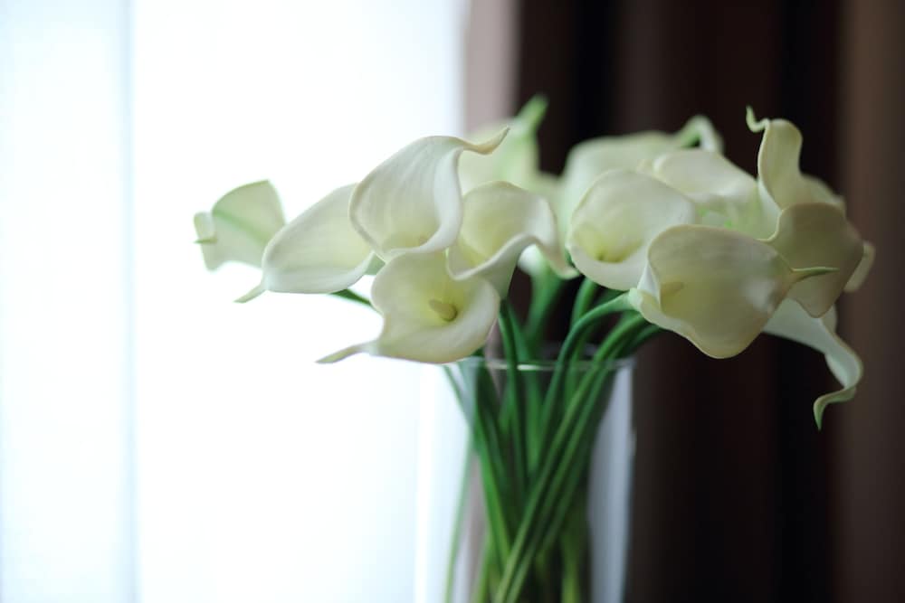 Фото Stelle Hotel Napoli