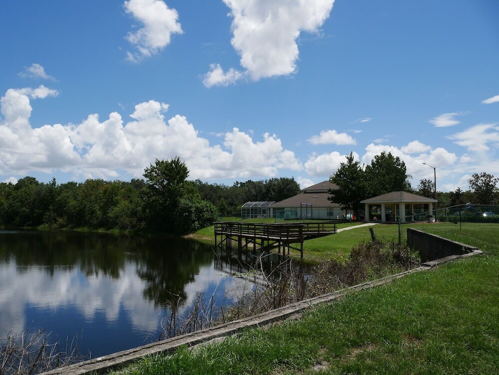 Фото Dreamland Disney