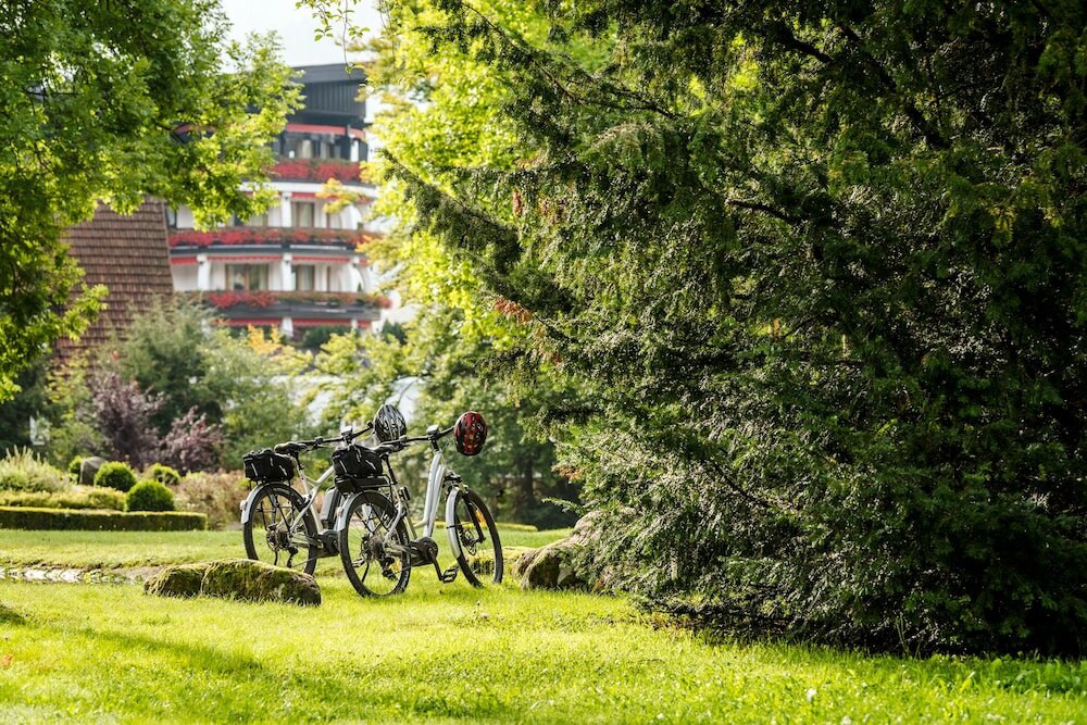 Фото Hotel Bareiss