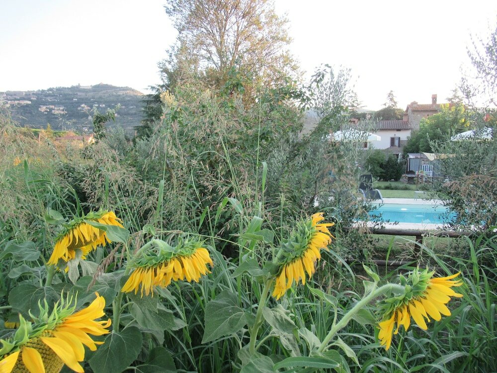 Фото Country House Podere Casorbica