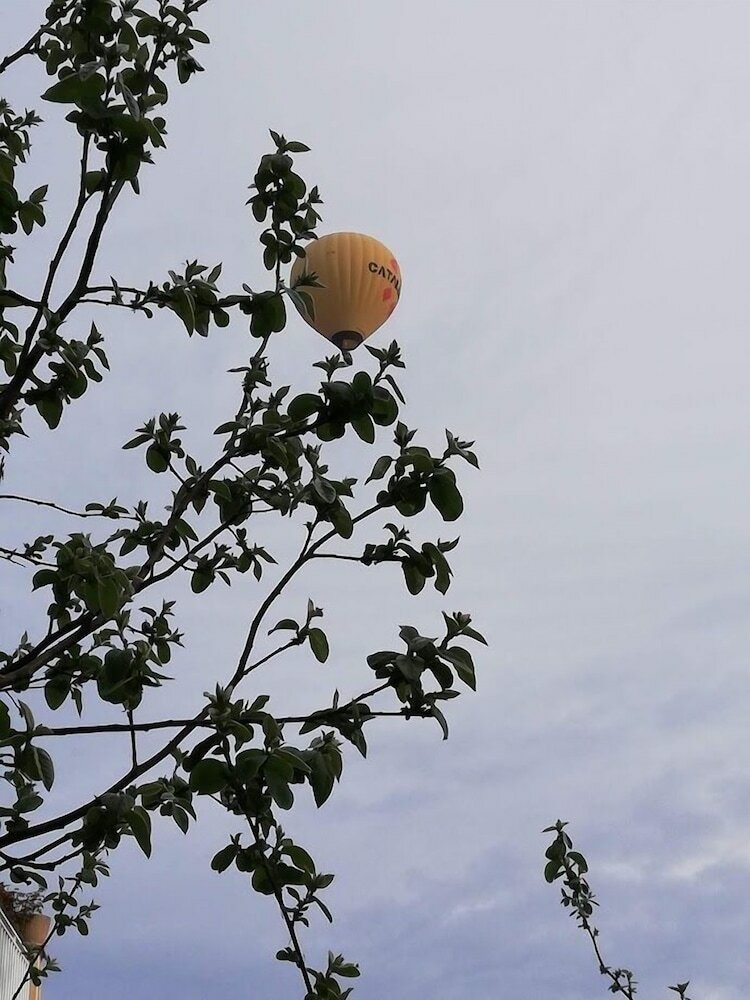 Фото B&b Sallent