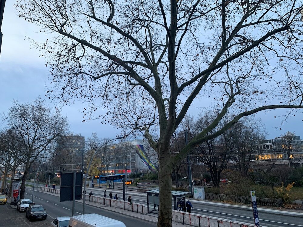 Фото Heidelberg Hospitality Boarding House