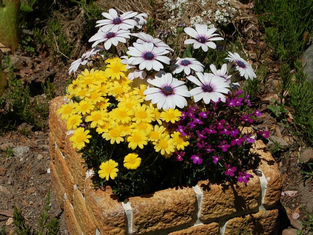 Фото Onsen Pension Hanasakiyama