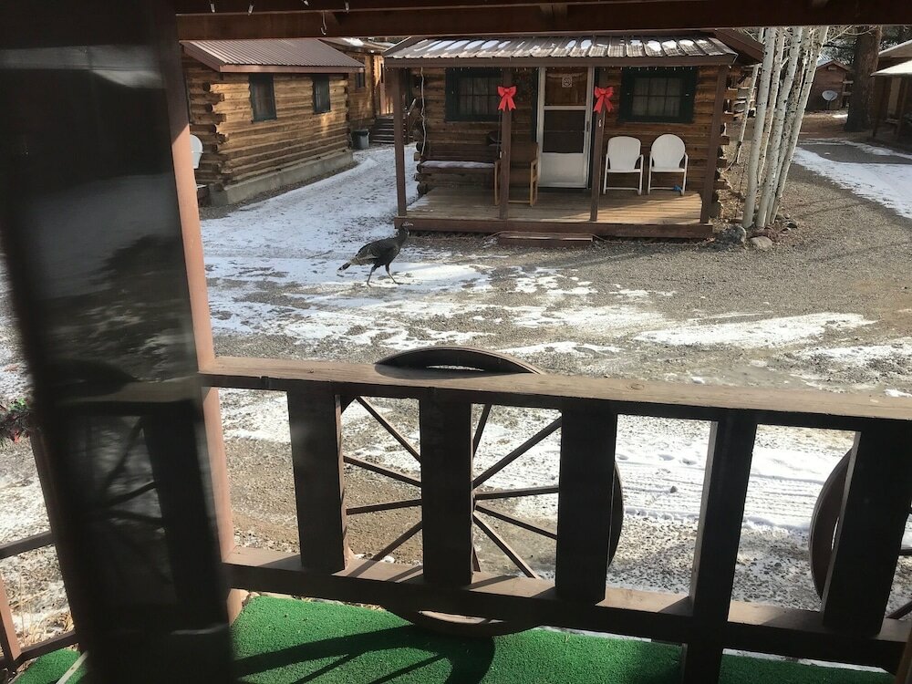 Фото Grandview Cabins & Rv Resort