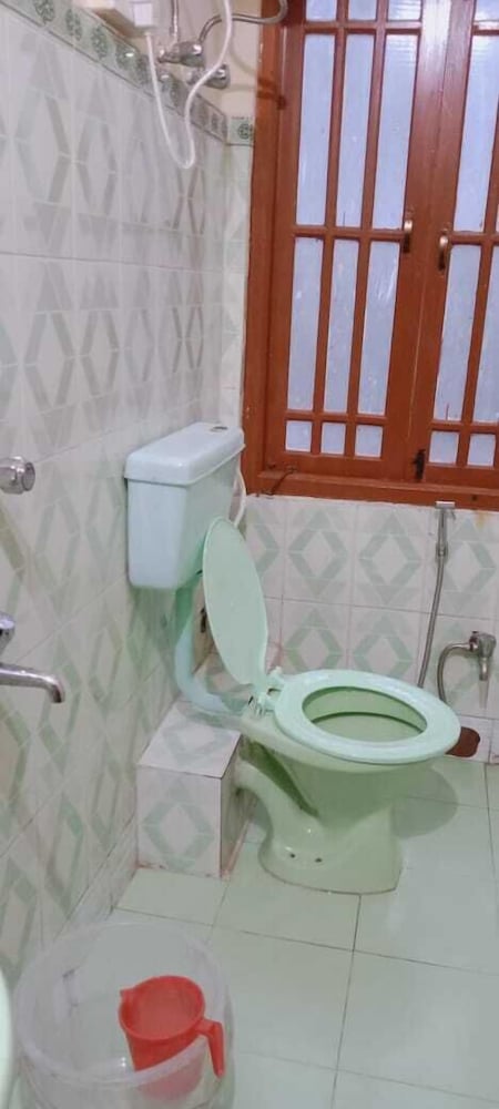 Фото Rufina Blue Pine