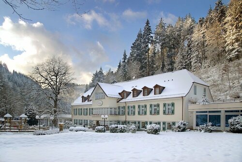 Гостиница Waldhotel Bad Sulzburg