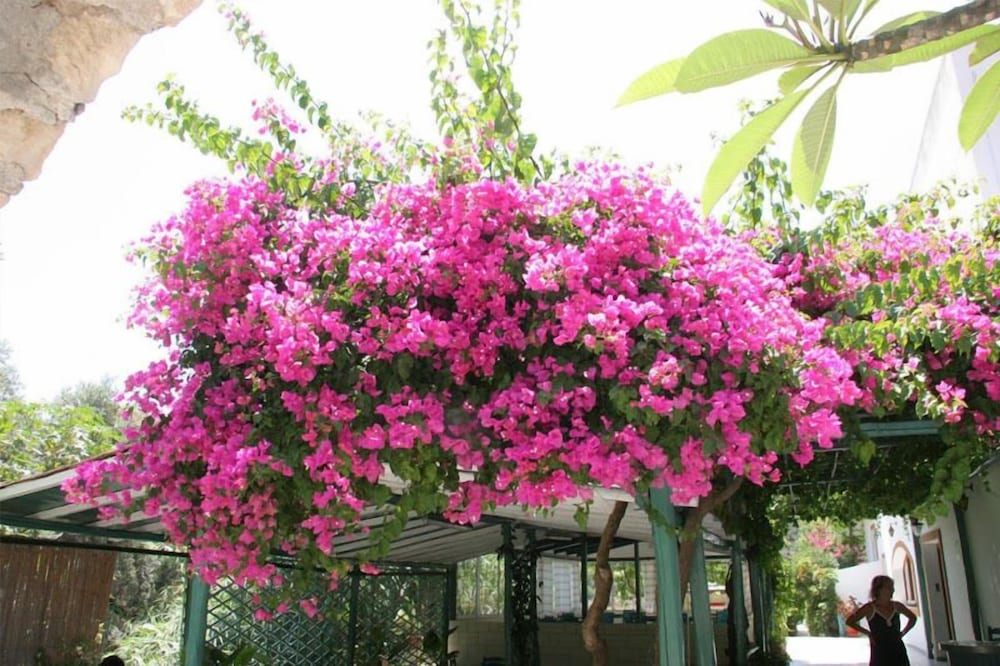 Фото Armonia Hotel