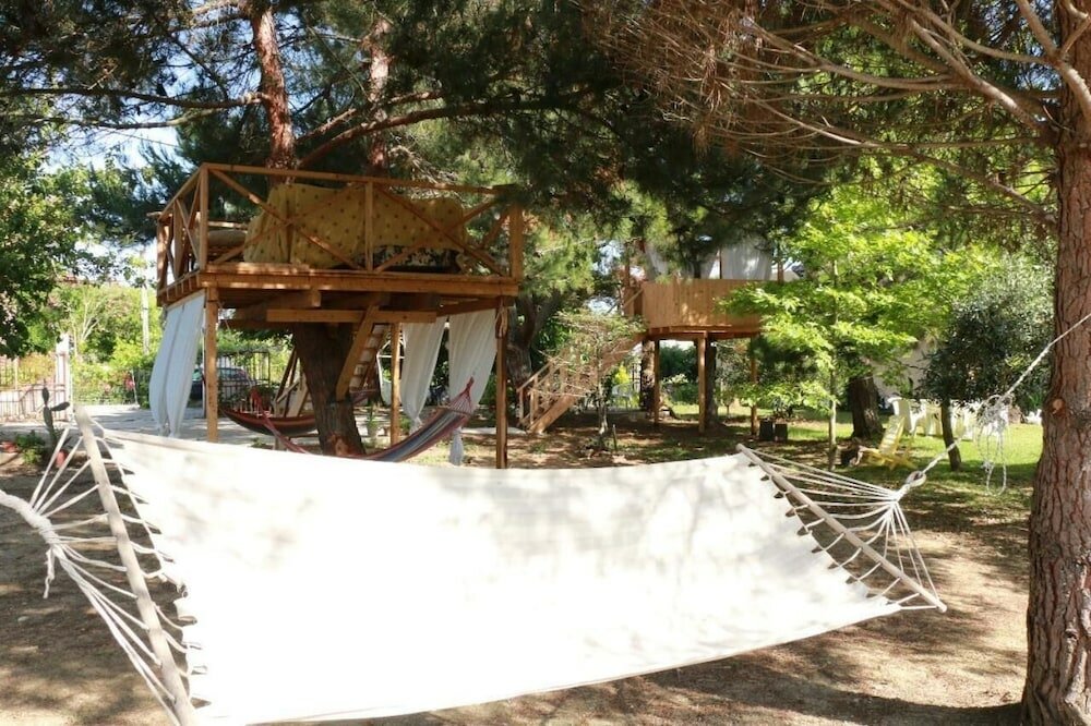 Фото Gongis Studios