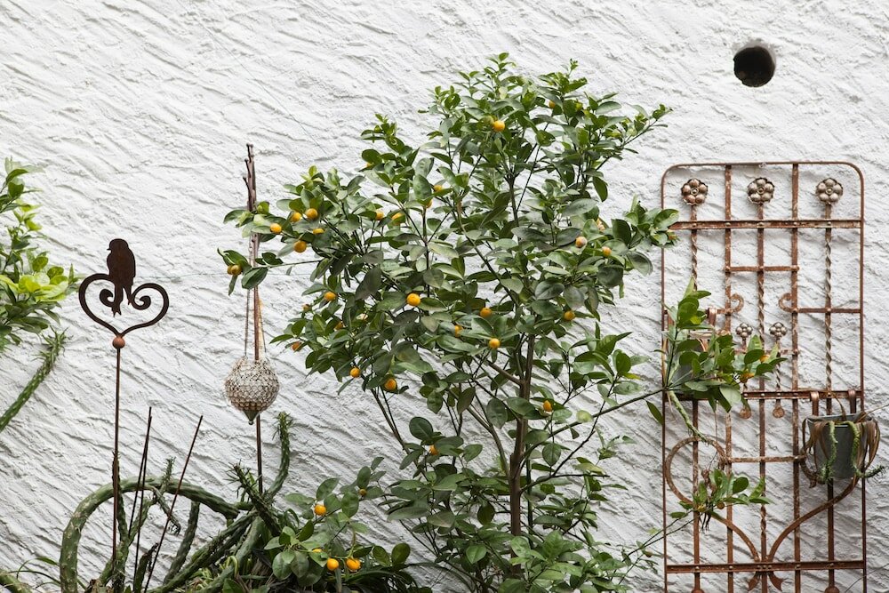 Фото Caffè dell'Arte Boutique Rooms