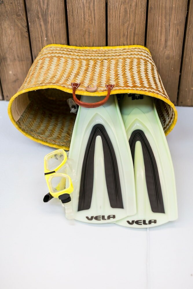 Фото Pauline's Apartments Aruba