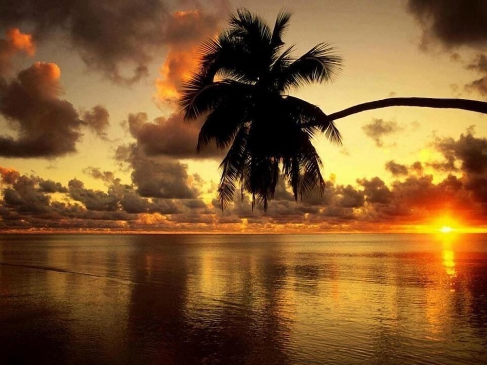 Фото Aloha Village Bangalôs