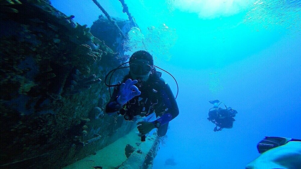 Фото Windchime Estates