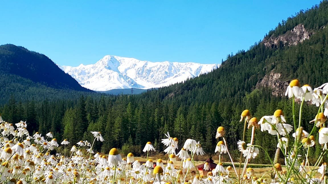 Фото Галактика Алтай