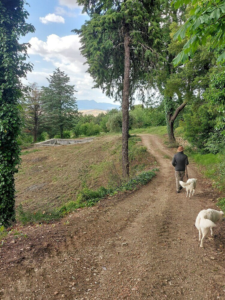 Фото Chiosi Country Club