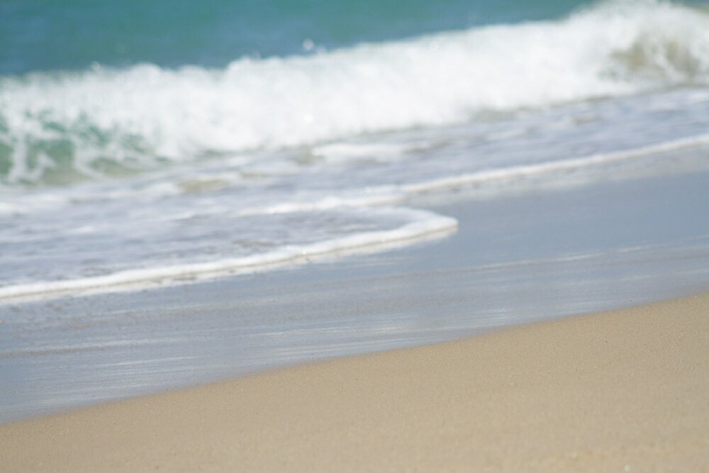 Фото Отель Villa Flora