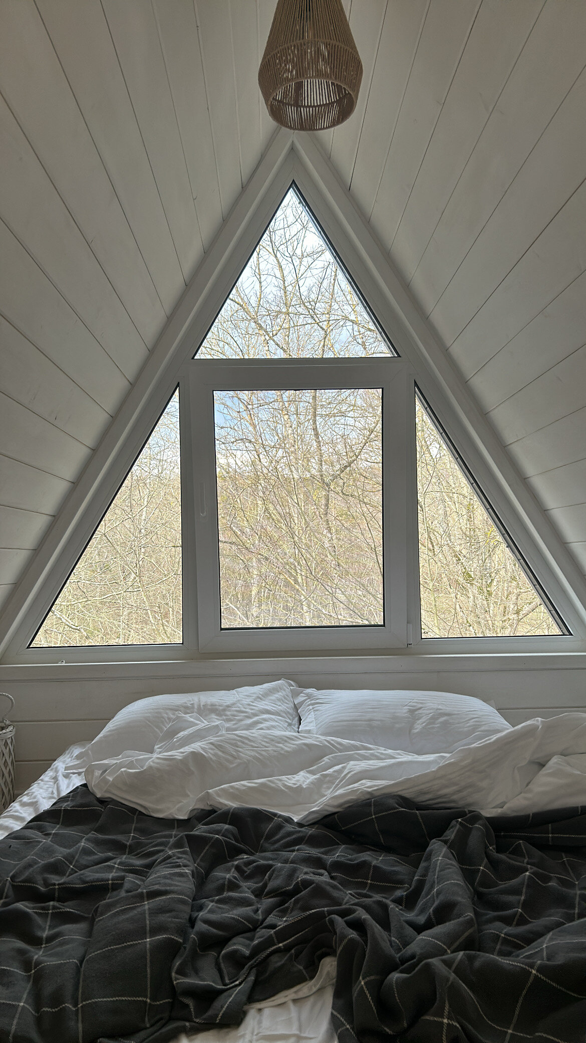 Фото Собер Глэмп