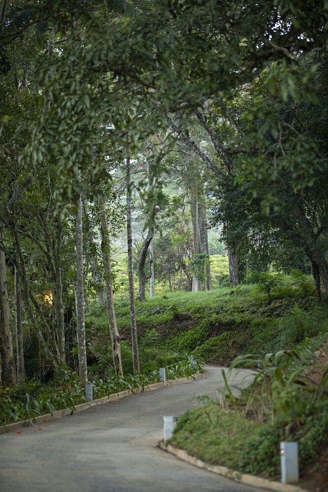 Фото 95847761184