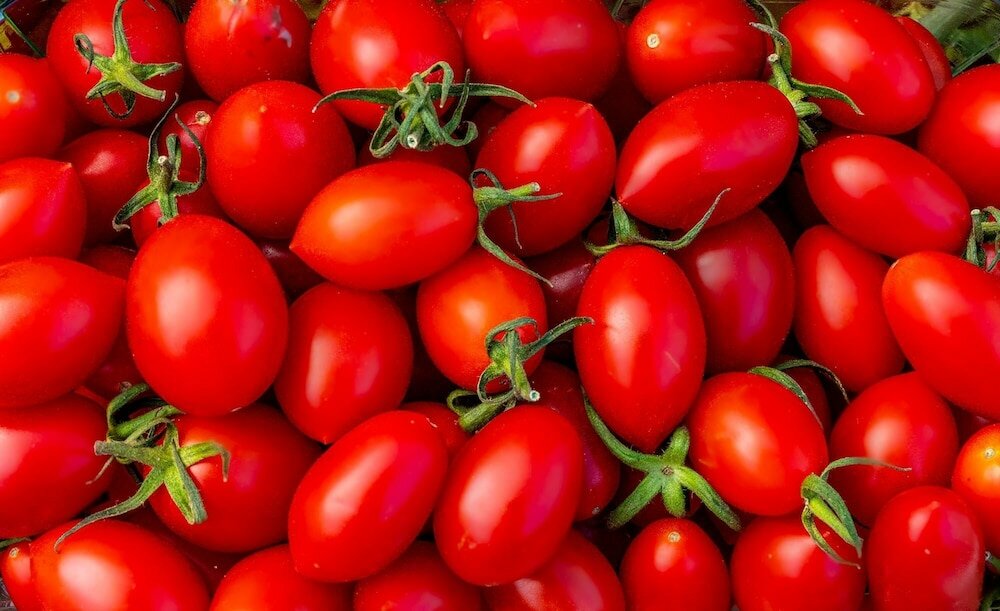 Фото Comfort Stay Airport Studios - Free shuttle from the Athens Airport