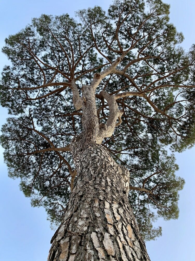 Фото Tenuta Novecento Bio Agriturismo