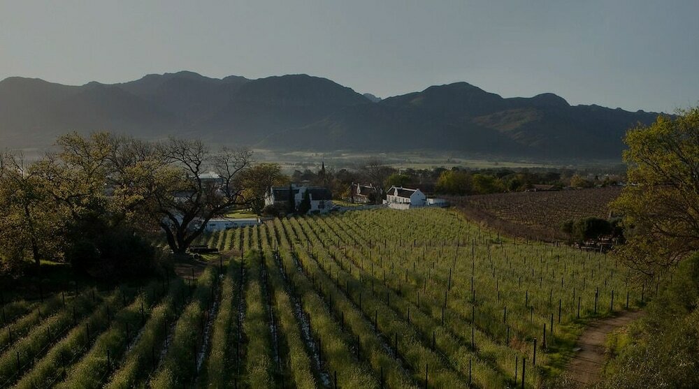 Фото Laborie Estate