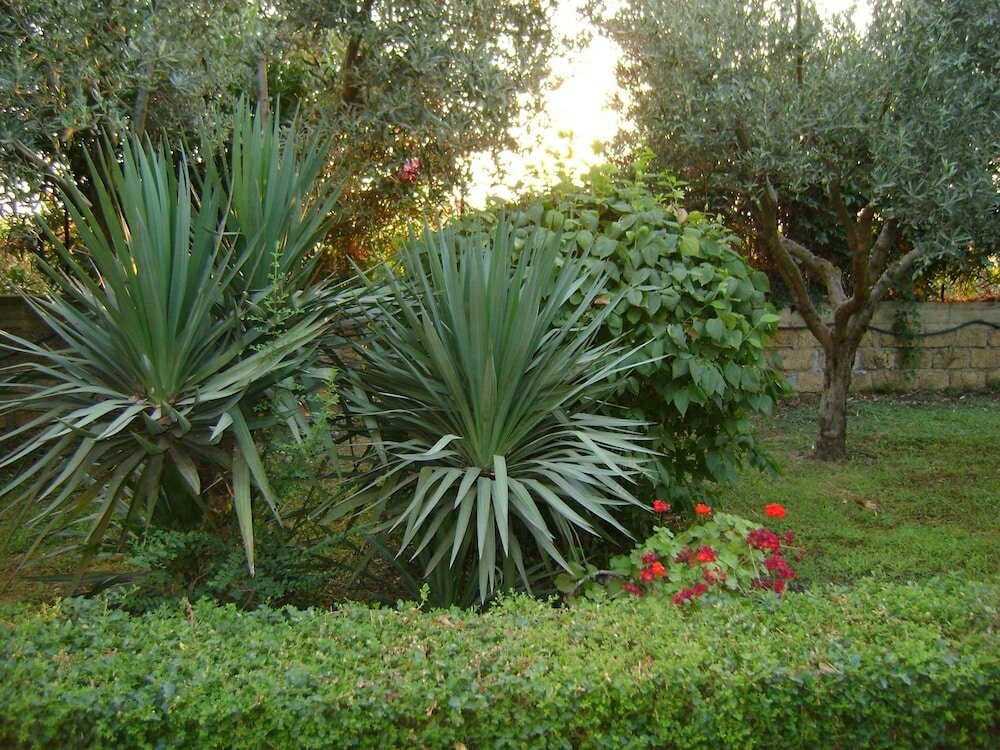 Фото La Favorita