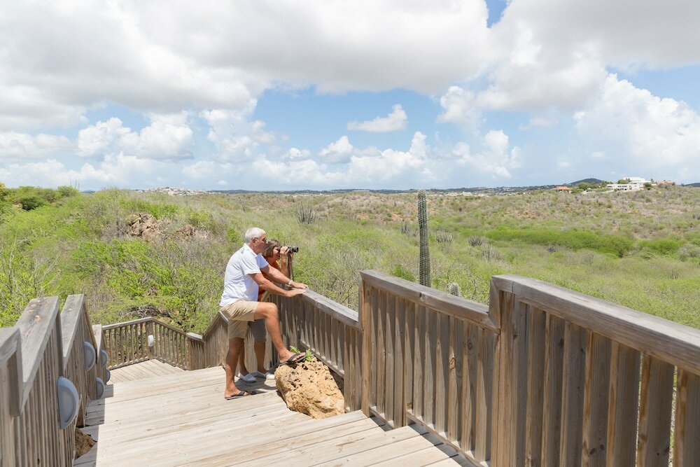 Фото Morena Resort