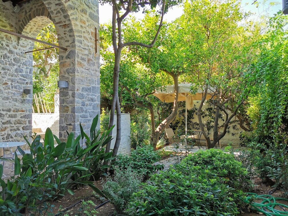 Фото Cotommatae Hydra 1810