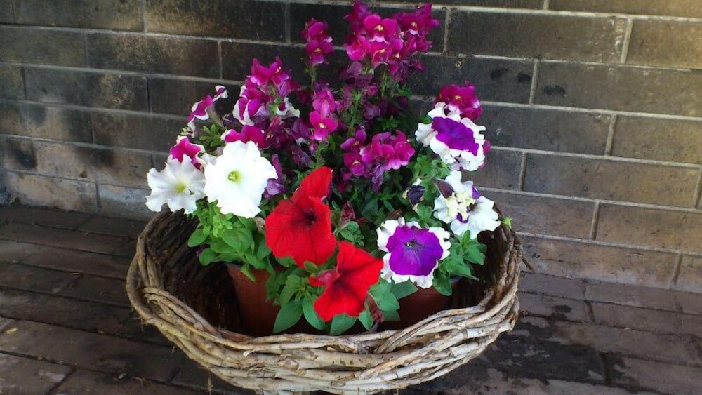 Фото Villa Anastasia Beach Front