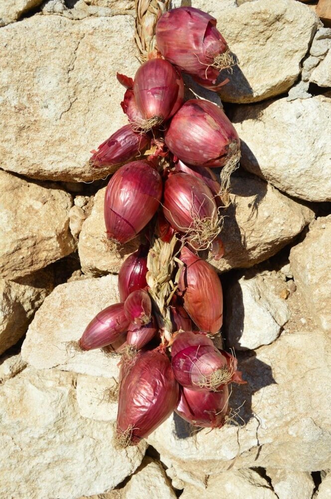 Фото Azienda Agrituristica Caridà