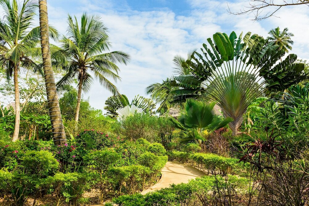 Фото Zanzi Resort